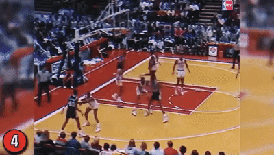 gt_202486_18487_v_gif